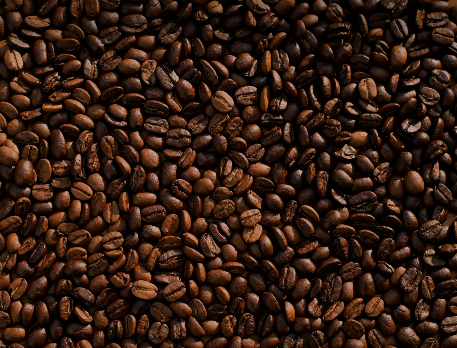 Close up of roasted coffee beans