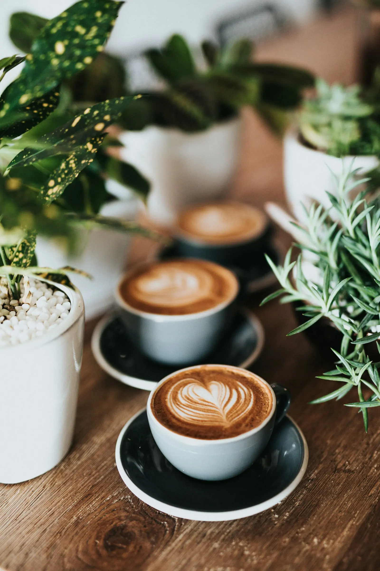 Two latte art cups decorated with leaves