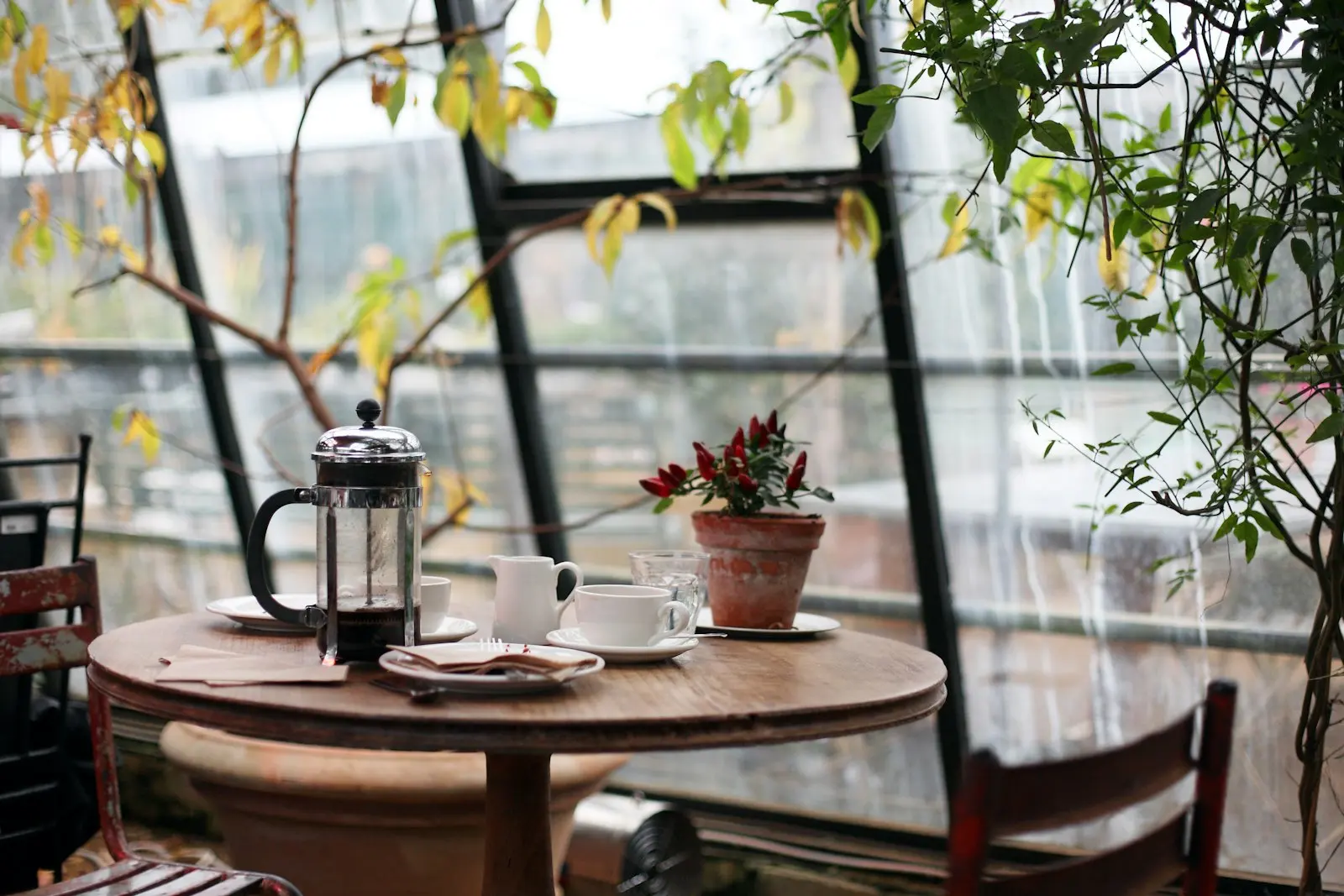 A sunny cafe table by the window with a french press, cups and plants