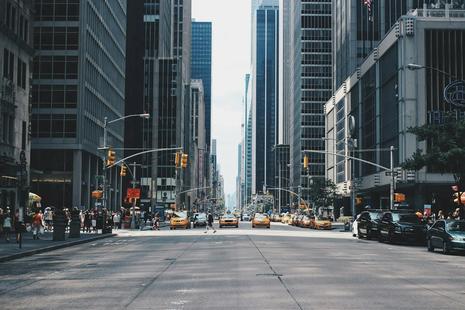 A city avenue lined with yellow taxis